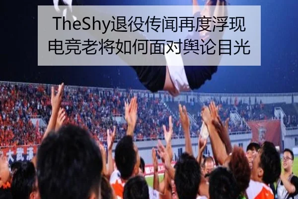 TheShy退役传闻再度浮现 电竞老将如何面对舆论目光 - leyu